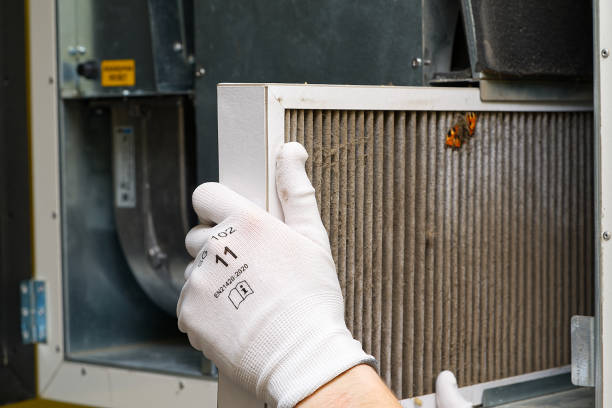 Best Air Vent Cleaning Services  in Canton Valley, CT