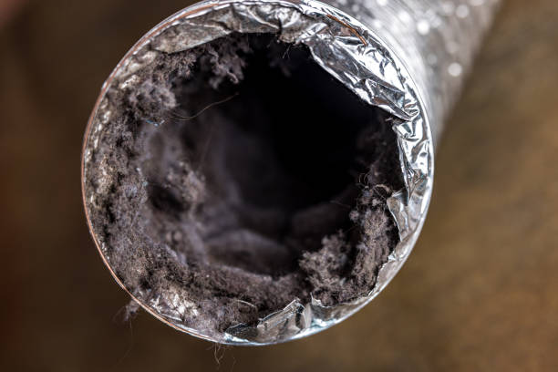 Best Home Air Vent Cleaning  in Canton Valley, CT
