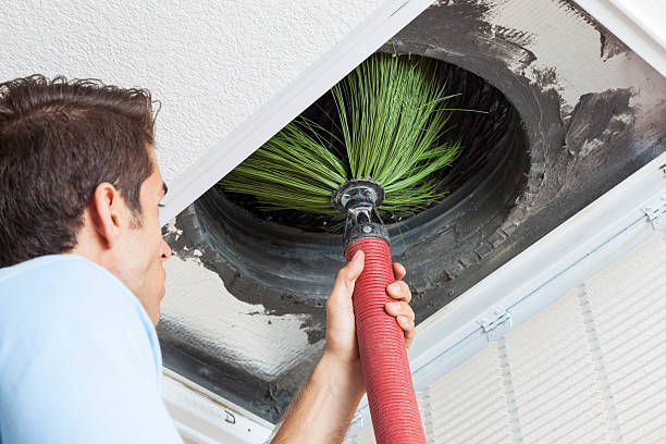 Best Dryer Vent Cleaning Services  in Canton Valley, CT
